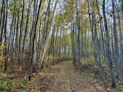 Photo for 48XYZ Deerfield Road, Sturgeon Lake, MN 55783 - listing #6799677 48XYZ Deerfield Road, Sturgeon Lake, MN 55783