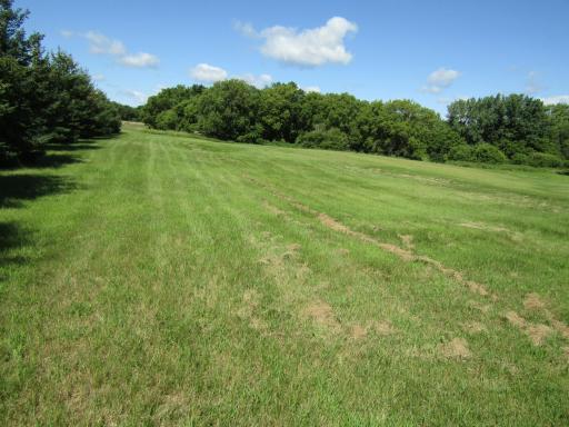 742 200th Avenue SW, Appleton, MN 56208