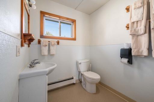 57153 Hudec Resort Road NE, Waskish, MN 56685