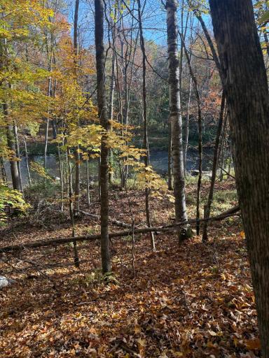 999 Porcupine Trail, Aitkin, MN 56431