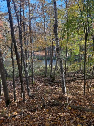 999 Porcupine Trail, Aitkin, MN 56431