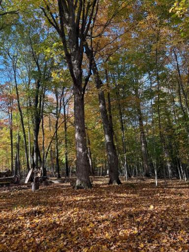 999 Porcupine Trail, Aitkin, MN 56431