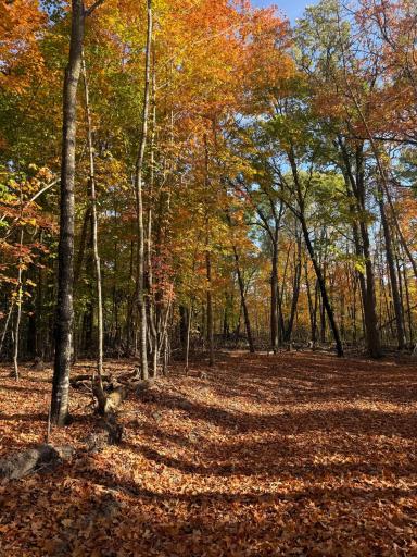 999 Porcupine Trail, Aitkin, MN 56431