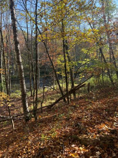 999 Porcupine Trail, Aitkin, MN 56431