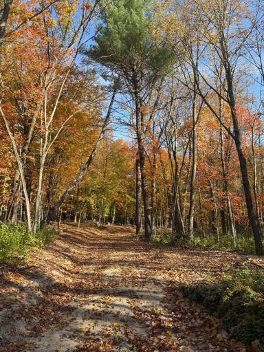 999 Porcupine Trail, Aitkin, MN 56431