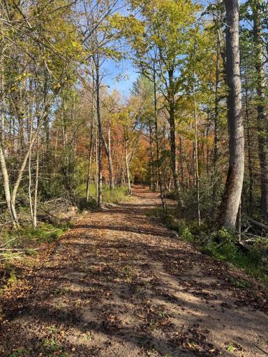 999 Porcupine Trail, Aitkin, MN 56431
