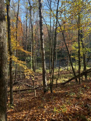 999 Porcupine Trail, Aitkin, MN 56431