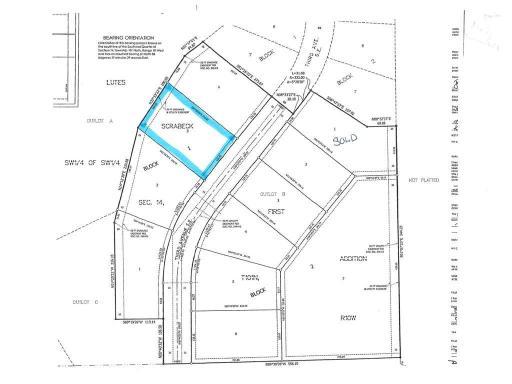 Survey Lot 3, blk 1.jpg