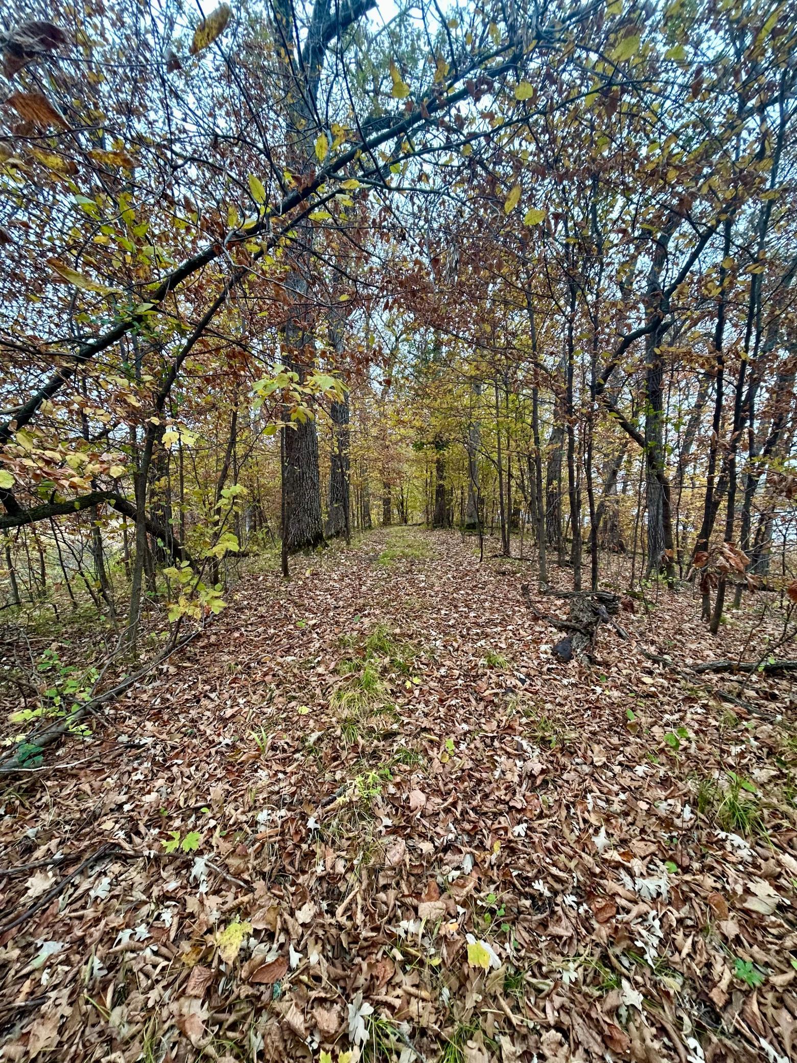 easement access road along waterfront