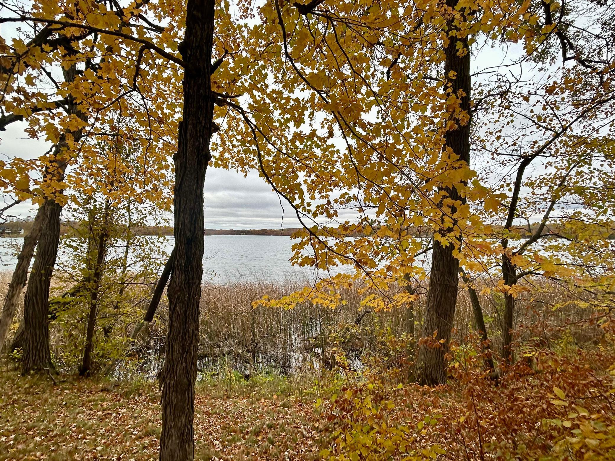 Waterfront view