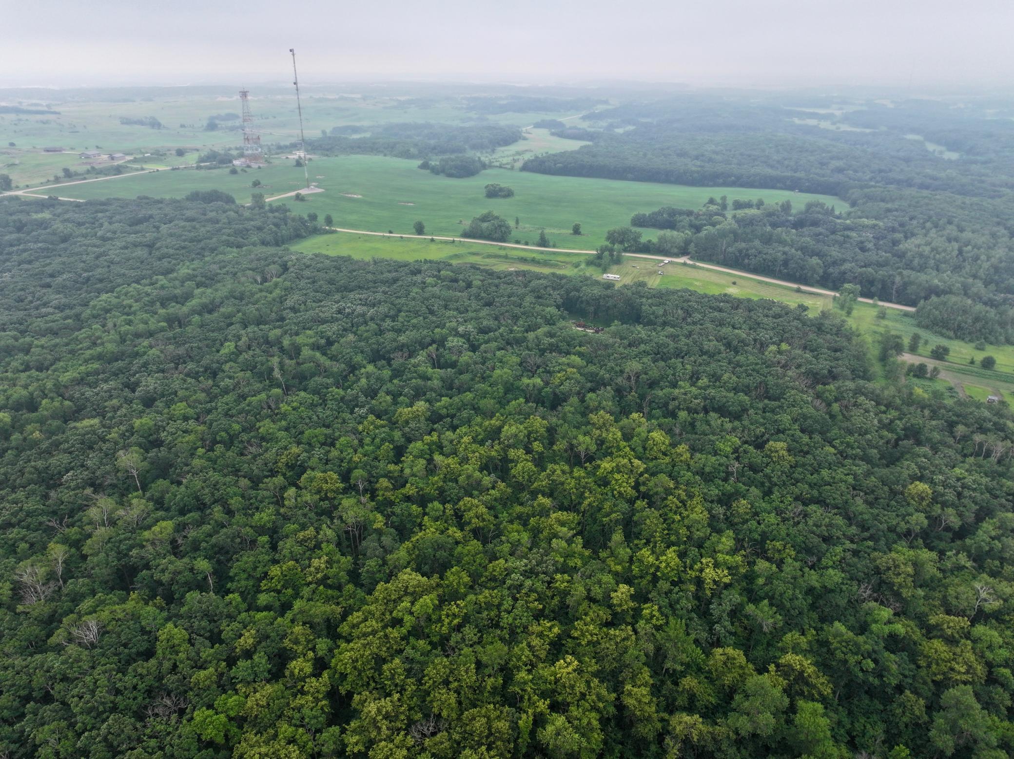 dji_fly_20250711_235644_0177_1752249837462_photo.JPEG