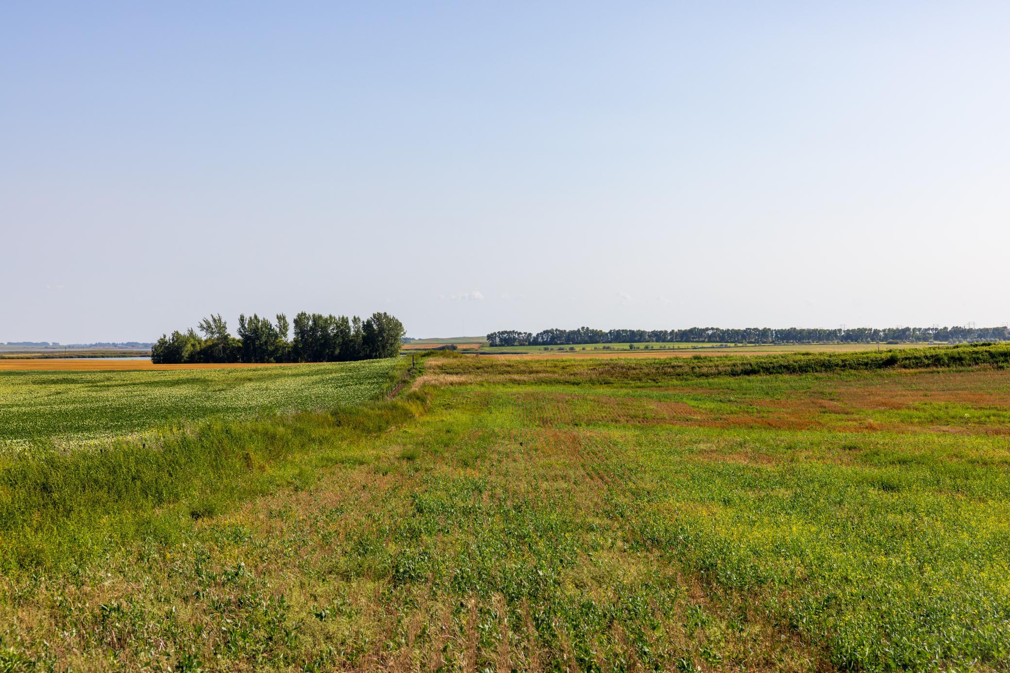 Amdak__Crosby ND_0022.jpg