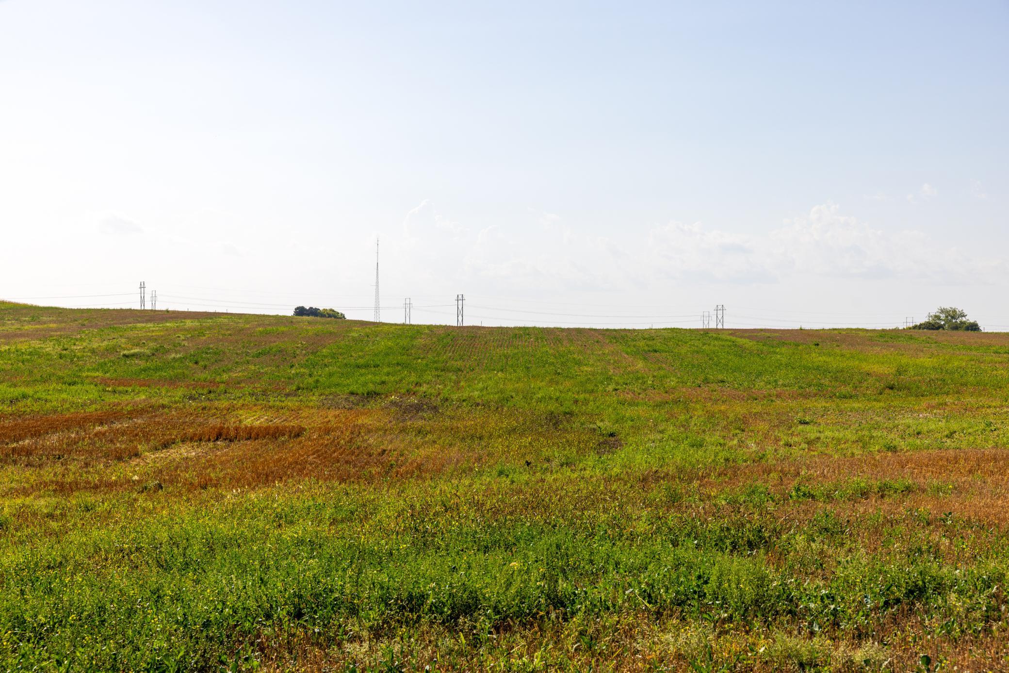 Amdak__Crosby ND_0023.jpg