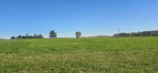 TBD ( Lot 2, Blk 2) 3rd Avenue SE, Harmony, MN 55939