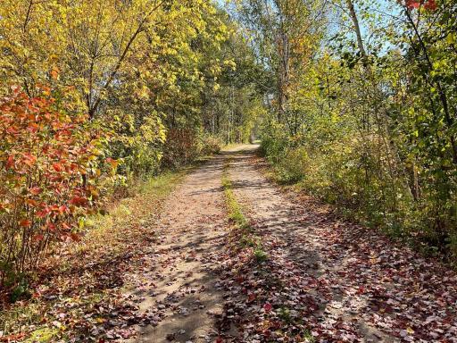 56694 Williams Lane, Sandstone, MN 55072