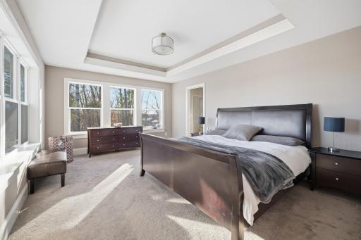 Primary suite with luxury bath and closet