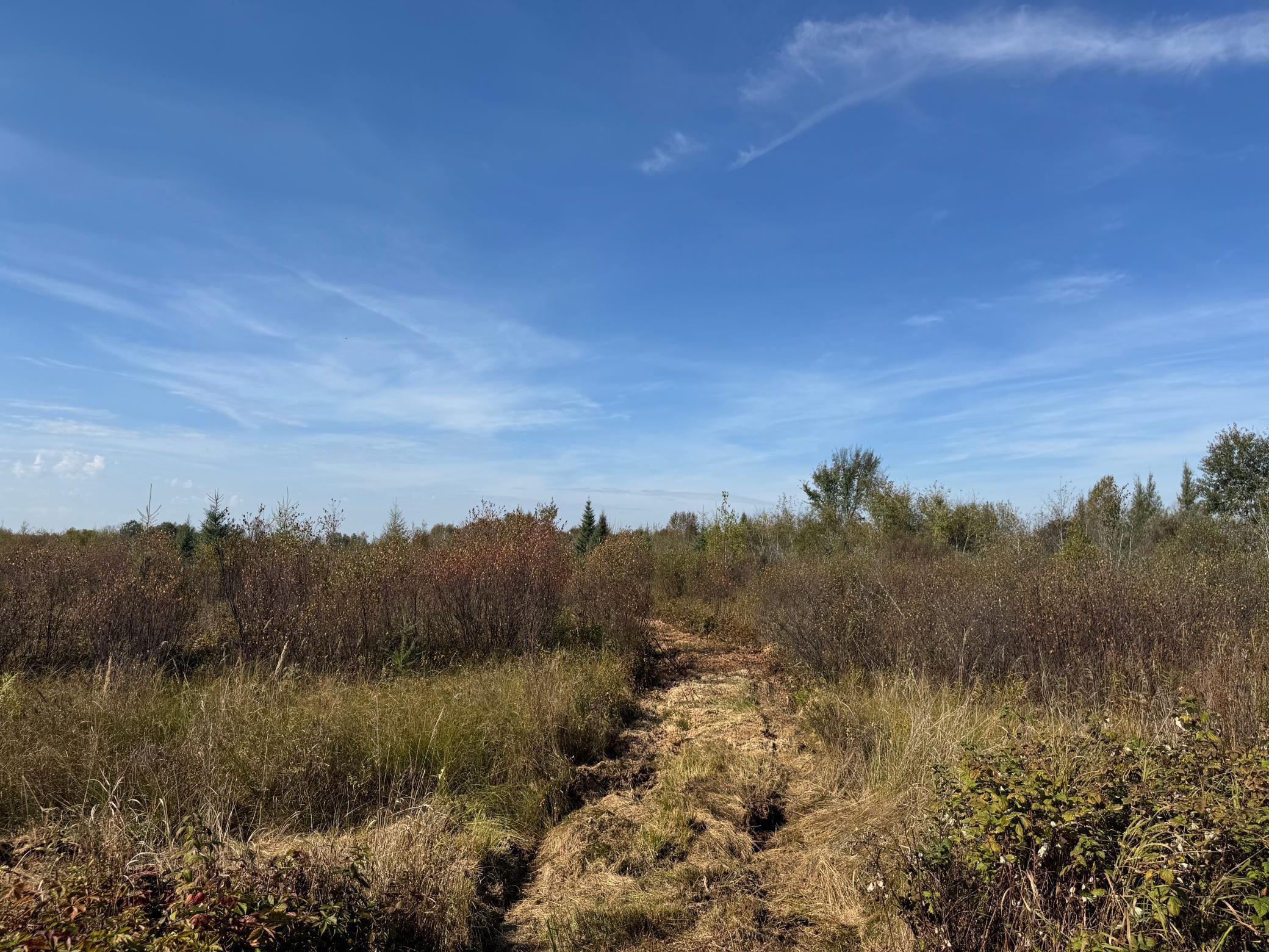 NE meadowlands with trails.jpg