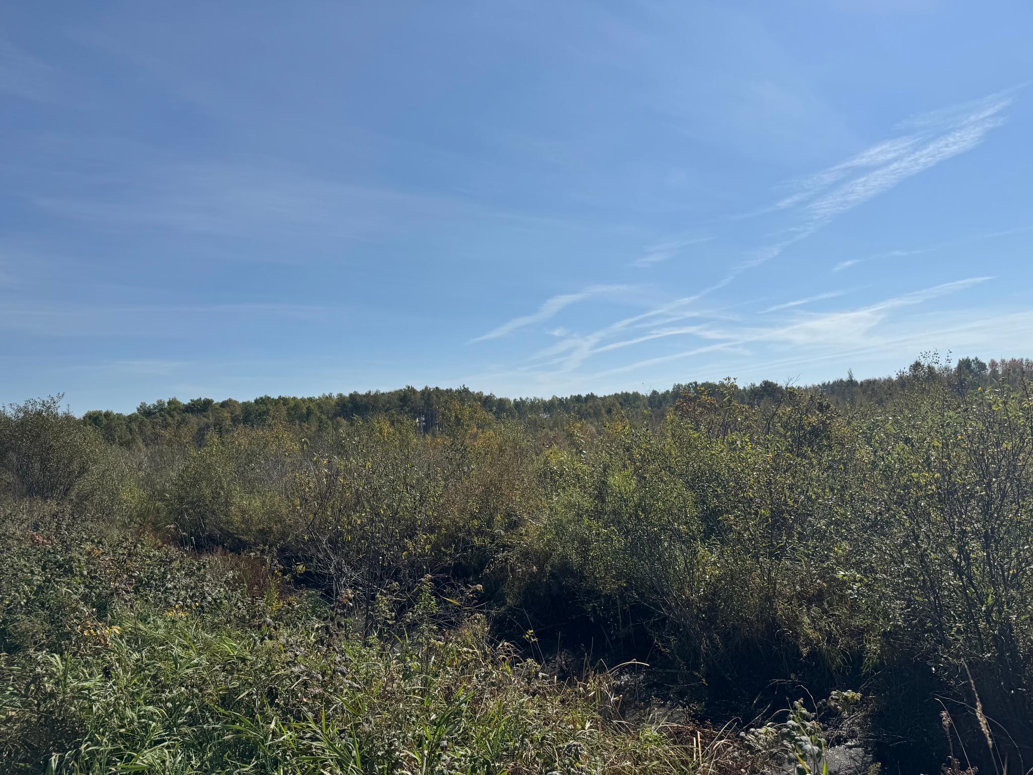 additional view towards middle of parcels.jpg