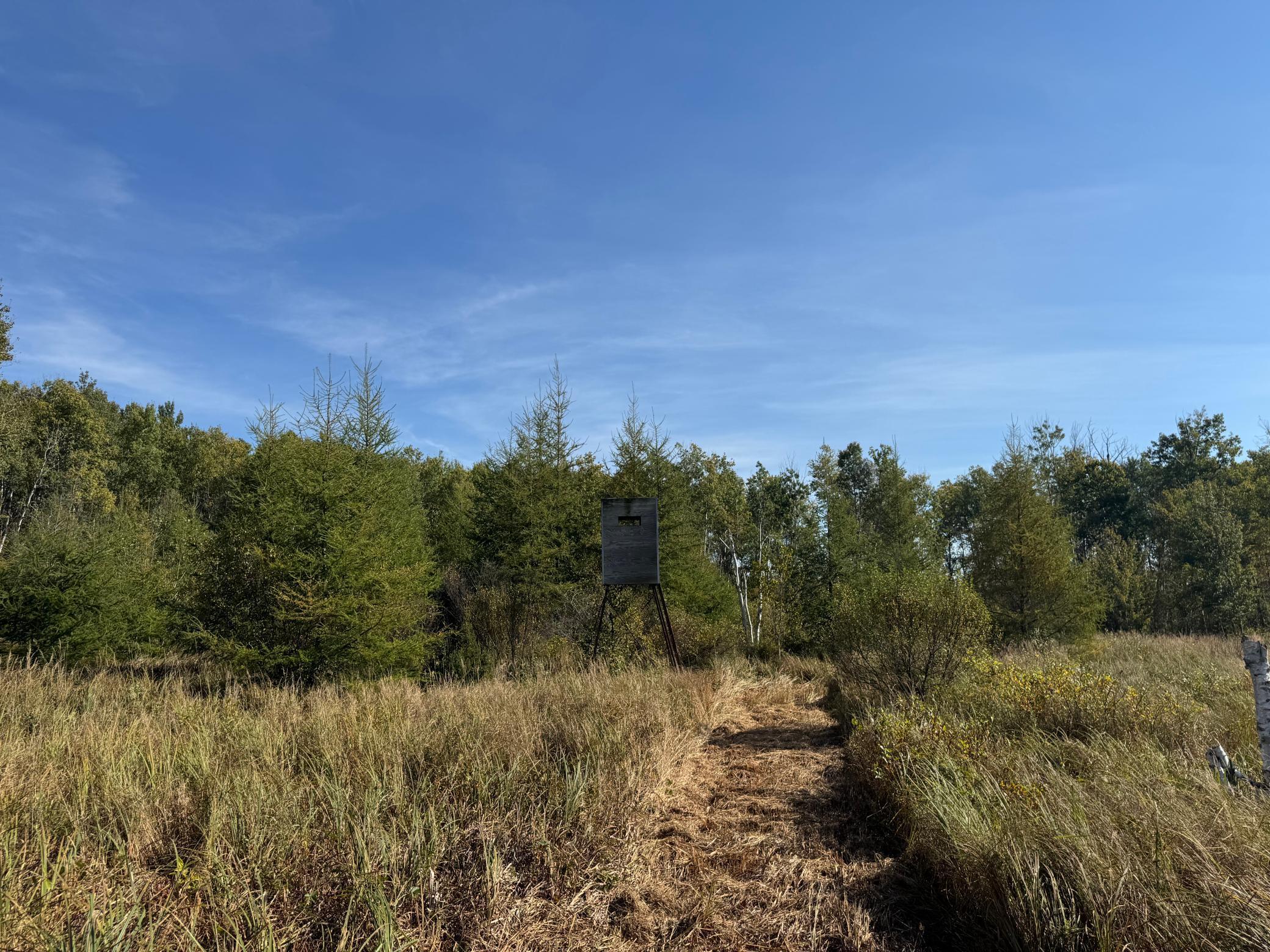 Additional view NE headed toward SE.jpg