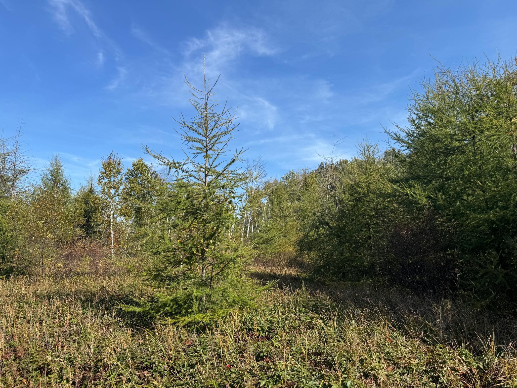 NE headed toward SE.jpg