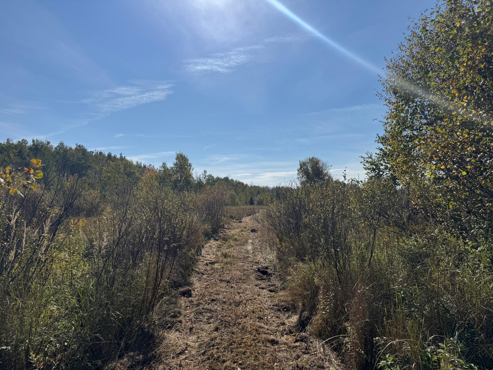 additional view NE section with meadowlands and trails.jpg