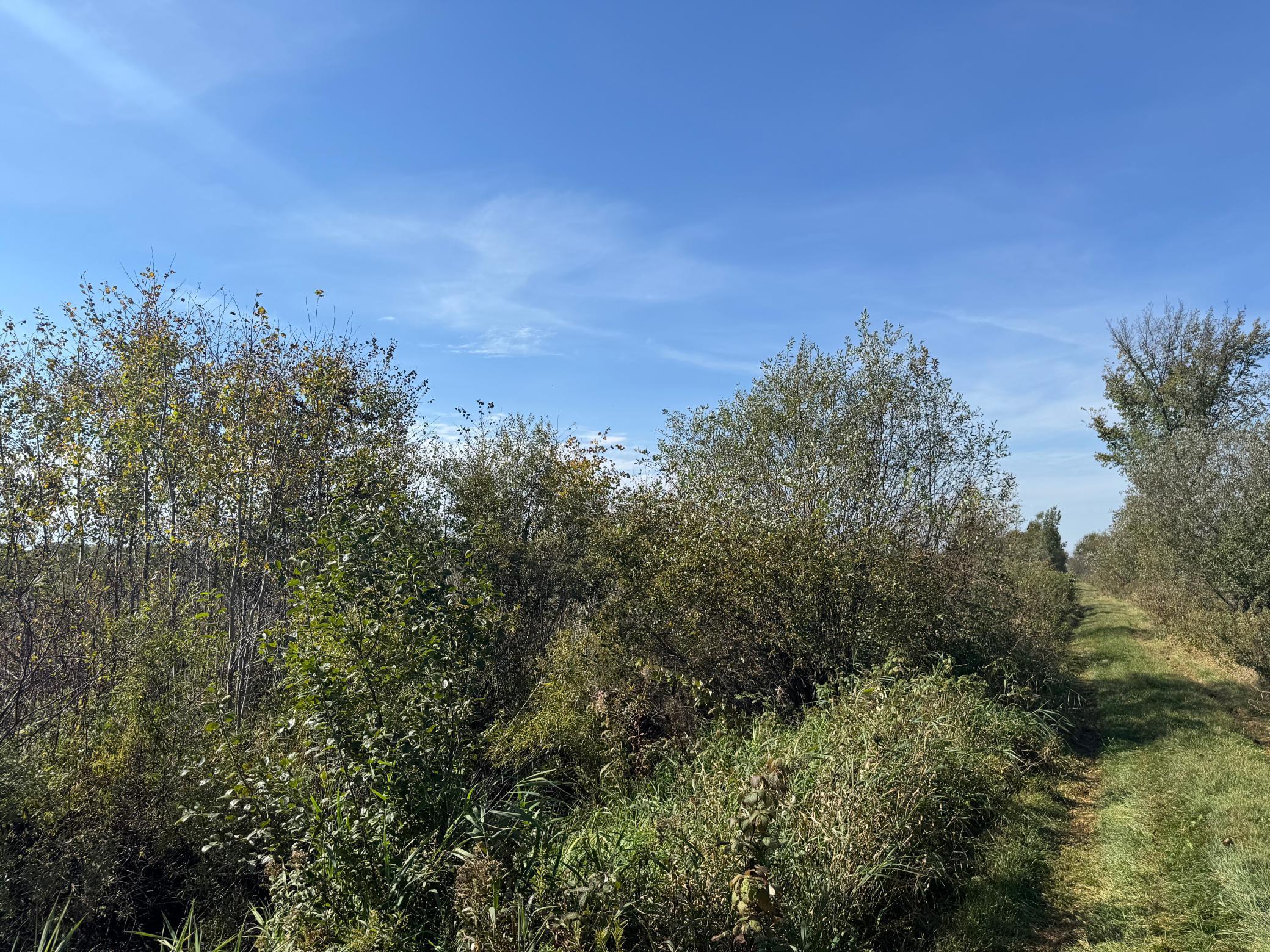 view towards middle of parcels.jpg