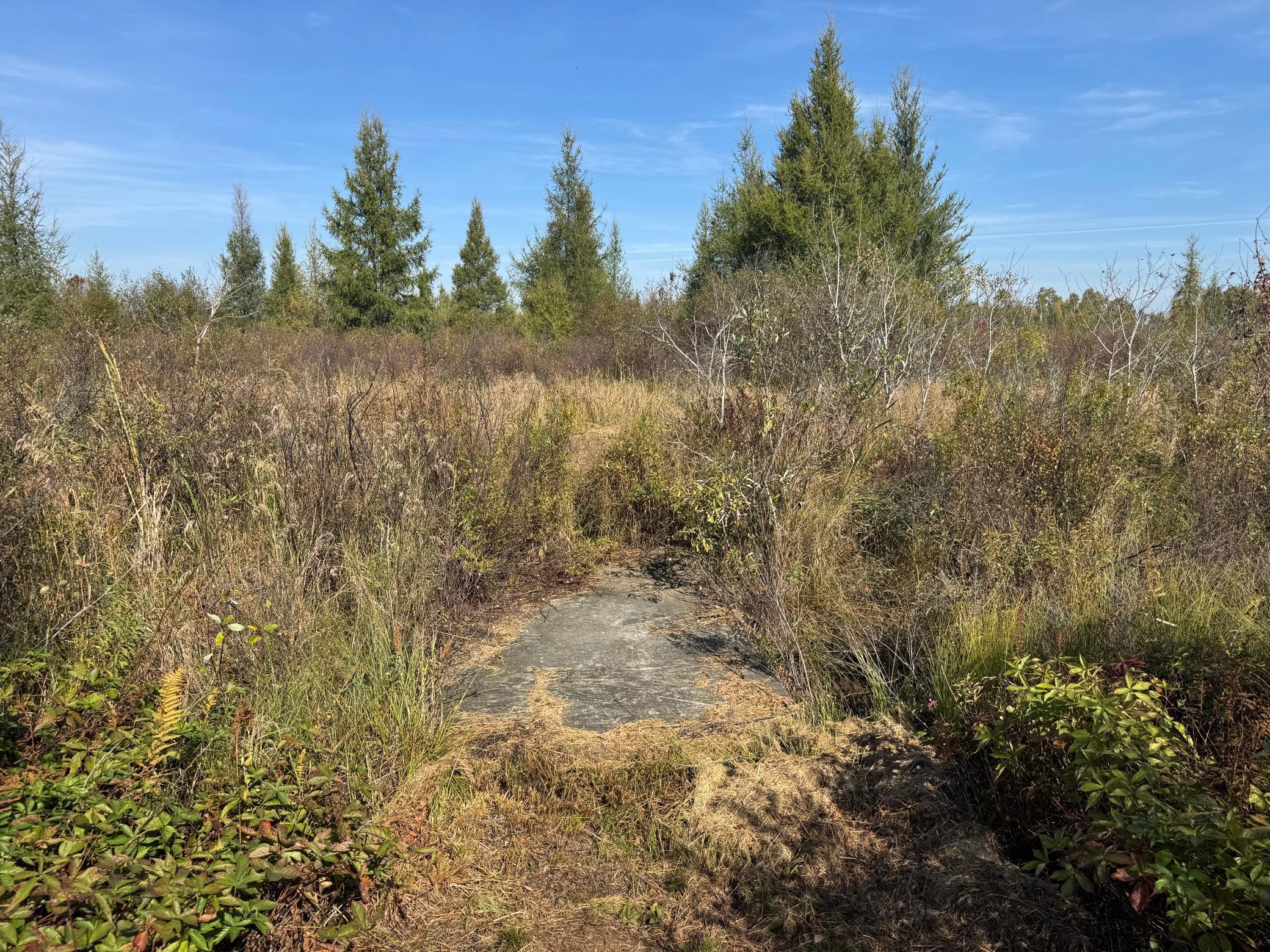 NE 4x4 ramp to cross the ditch.jpg