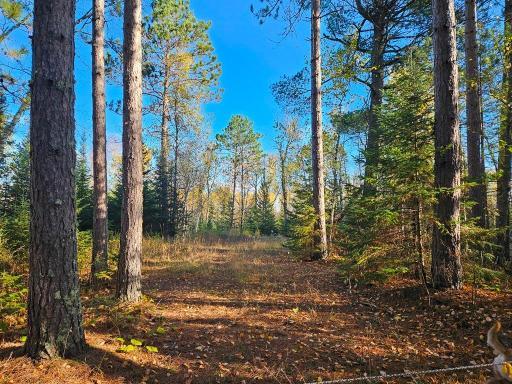 TBD Leathers Road, Orr, MN 55771