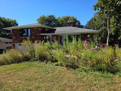 Native Grass with such pretty blooming flowers!