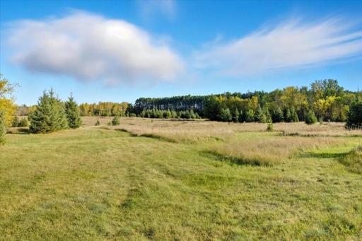 185 Crow Wing Lake Drive NE, Akeley, MN 56433