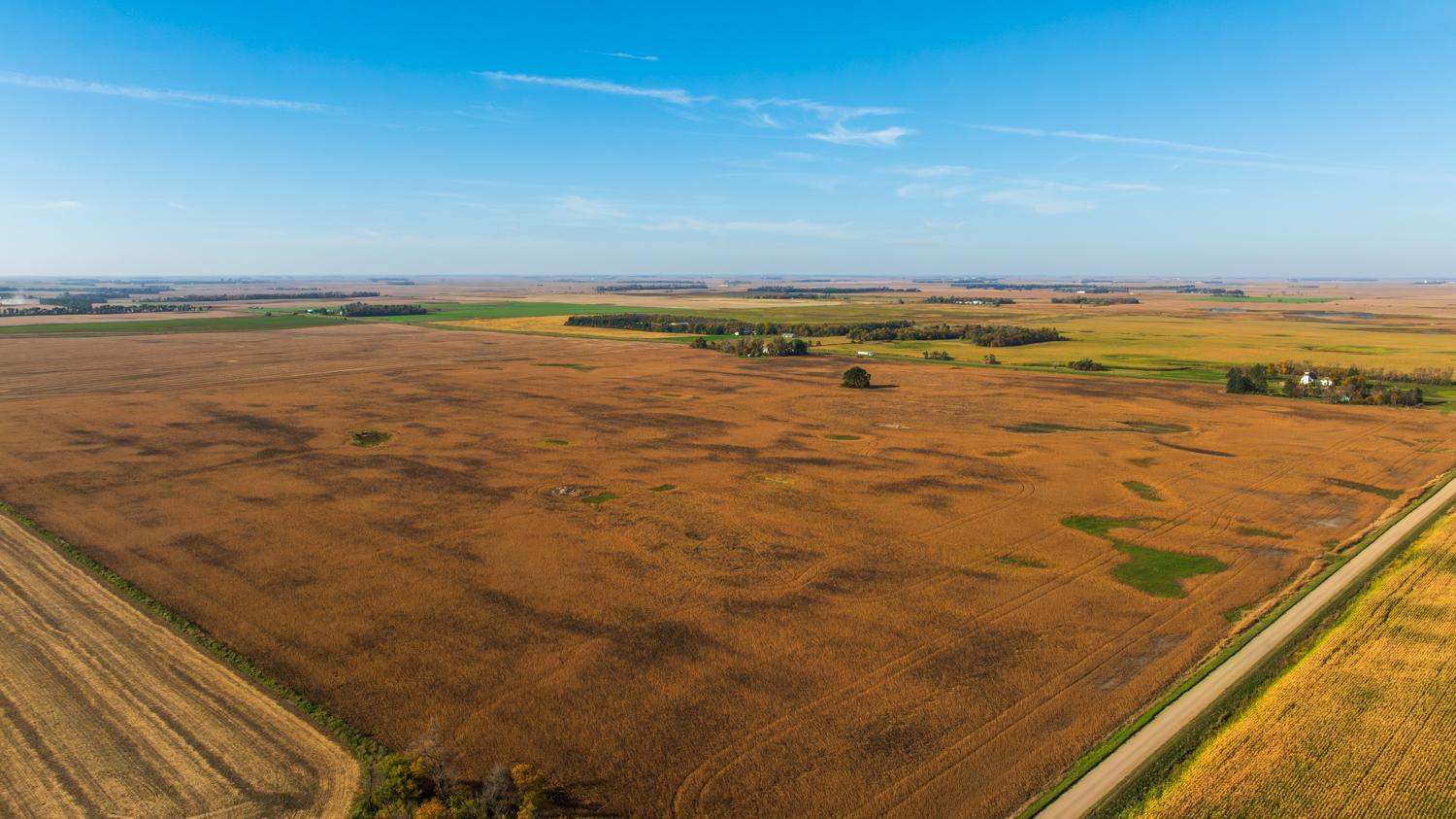 Amdak_Lamoure Co 156 Acres-14.jpg