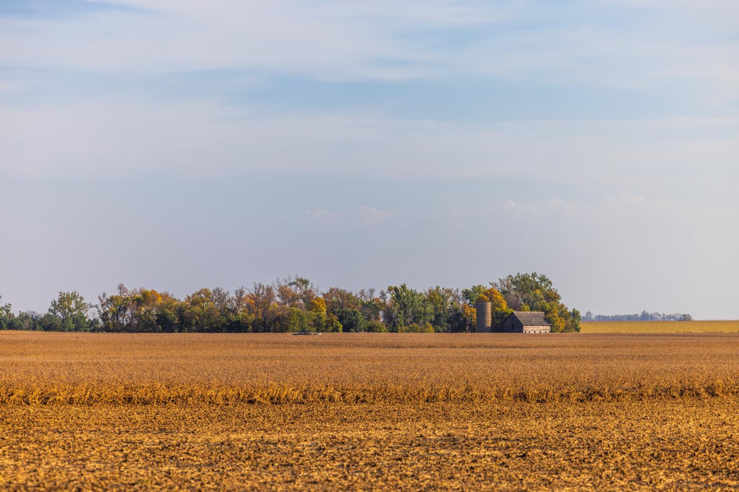 Amdak_Lamoure Co 156 Acres-22.jpg