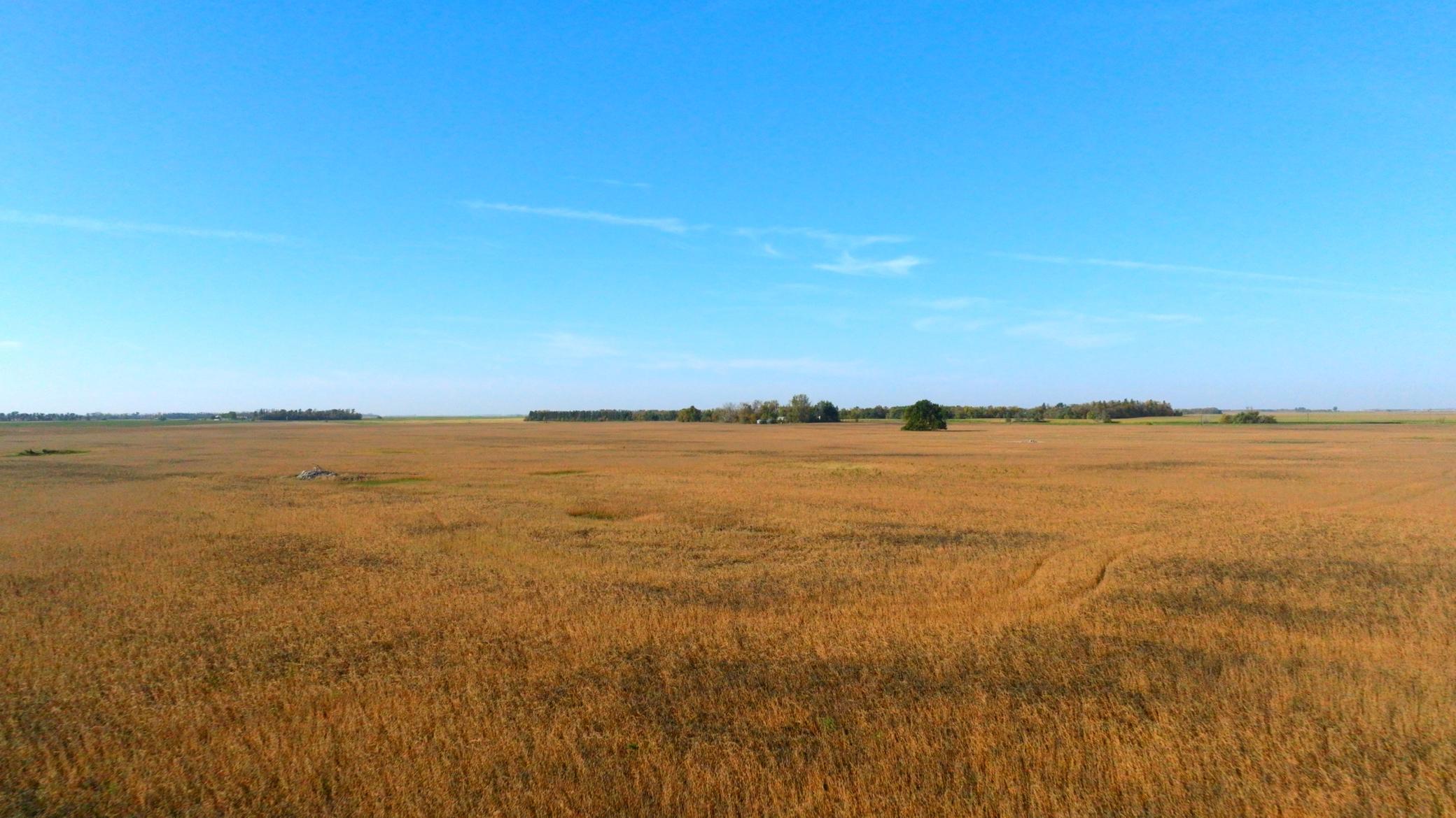 Amdak_Lamoure Co 156 Acres-26.jpg
