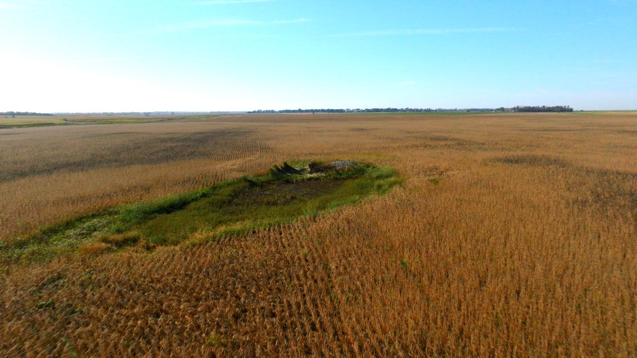 Amdak_Lamoure Co 156 Acres-25.jpg
