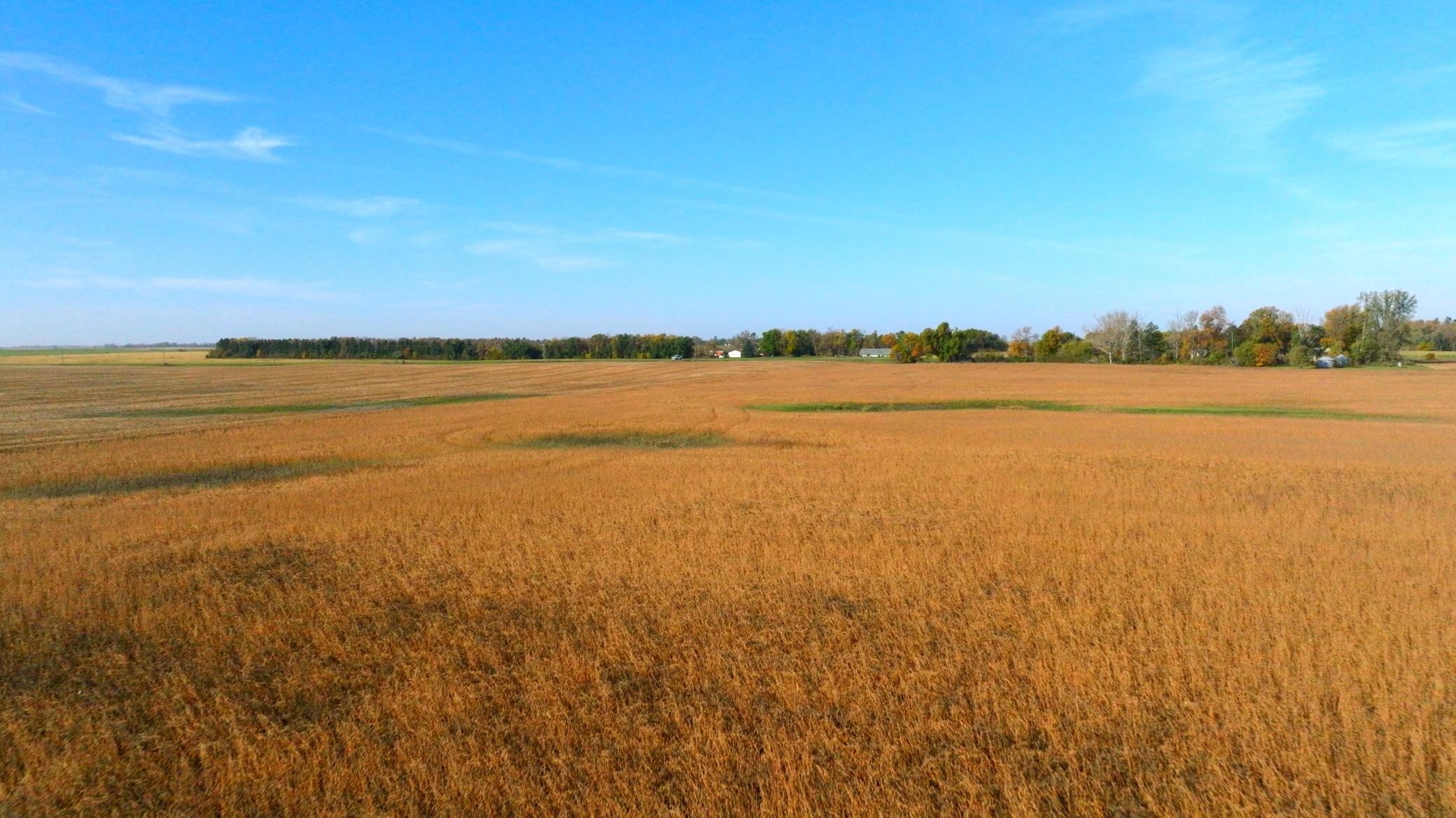 Amdak_Lamoure Co 156 Acres-23.jpg