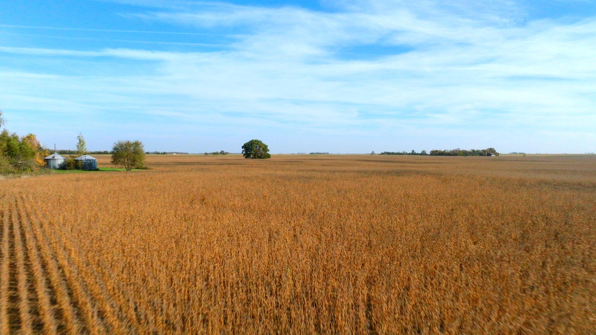 Amdak_Lamoure Co 156 Acres-24.jpg