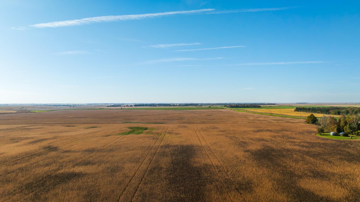 Amdak_Lamoure Co 156 Acres-8.jpg