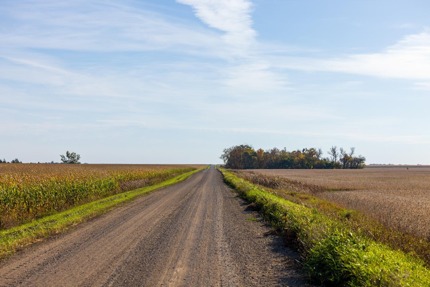 Amdak_Lamoure Co 156 Acres-1.jpg