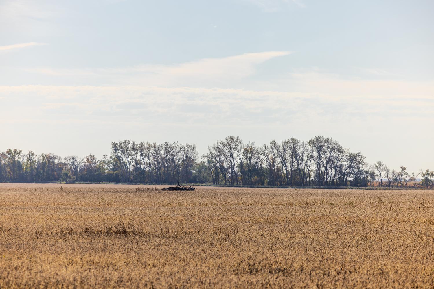 Amdak_Lamoure Co 156 Acres-6.jpg