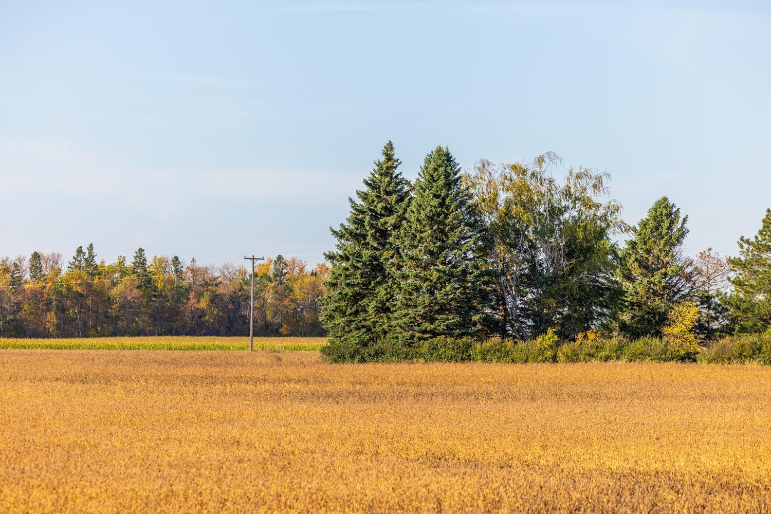Amdak_Lamoure Co 156 Acres-5.jpg