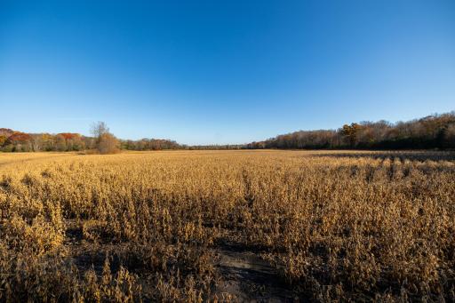 TBD Flamingo Street NW, Oak Grove, MN 55011
