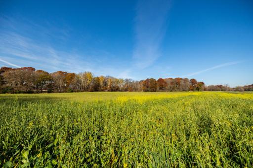 TBD Flamingo Street NW, Oak Grove, MN 55011