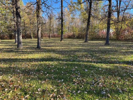 33745 303rd Street, Roseau, MN 56751