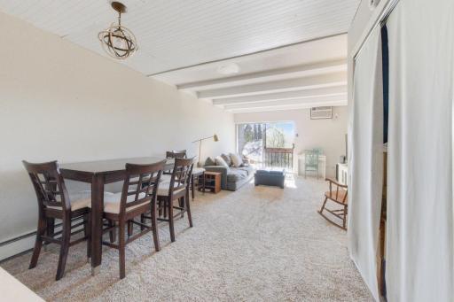 380 Ramsey Street, B1, Saint Paul, MN 55102