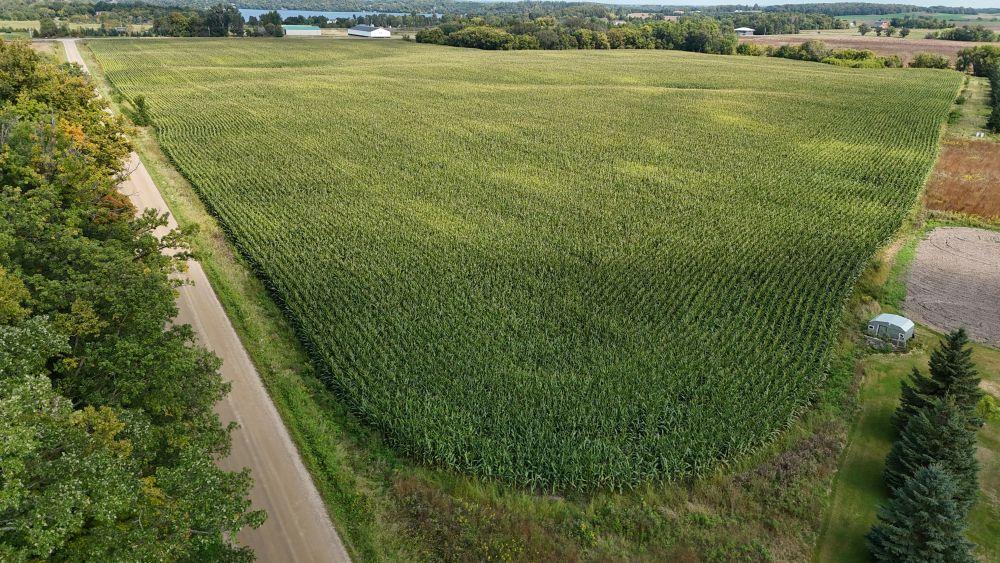 dji_fly_20250909_130052_0033_1757447799283_photo.jpg