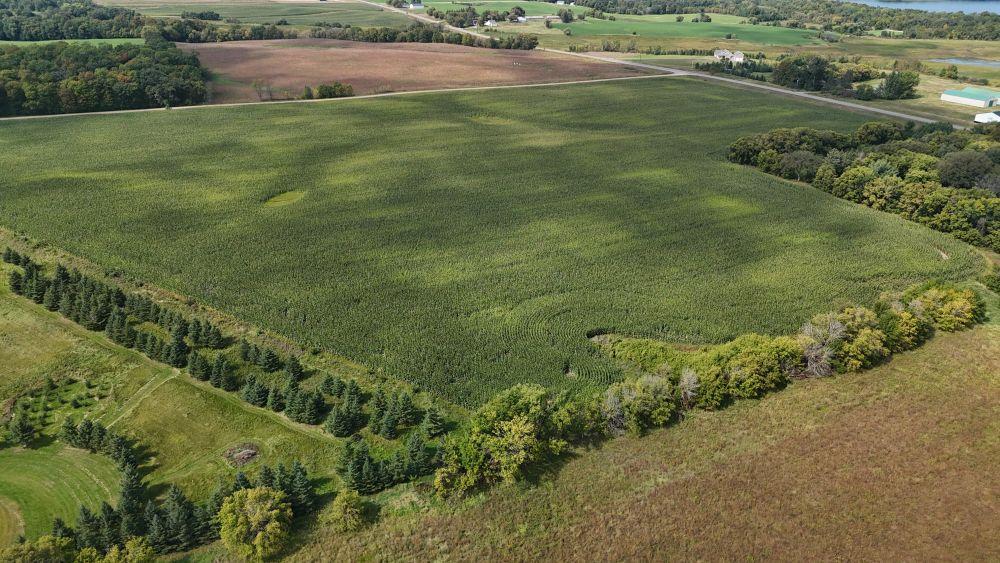 dji_fly_20250909_130326_0037_1757447795266_photo.jpg