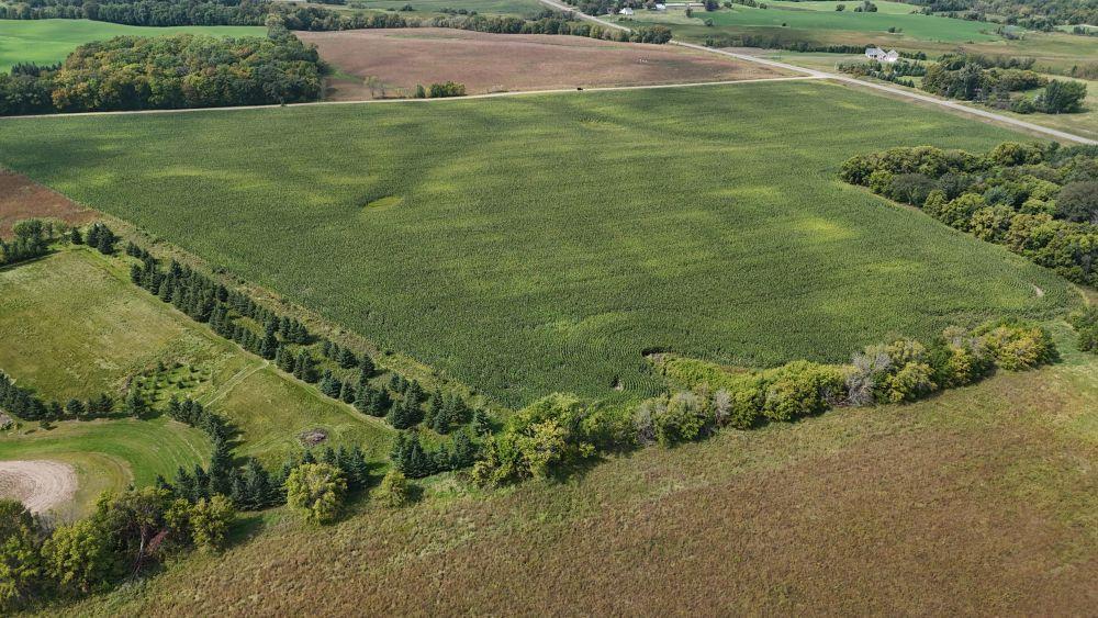 dji_fly_20250909_131208_0048_1757447784998_photo.jpg