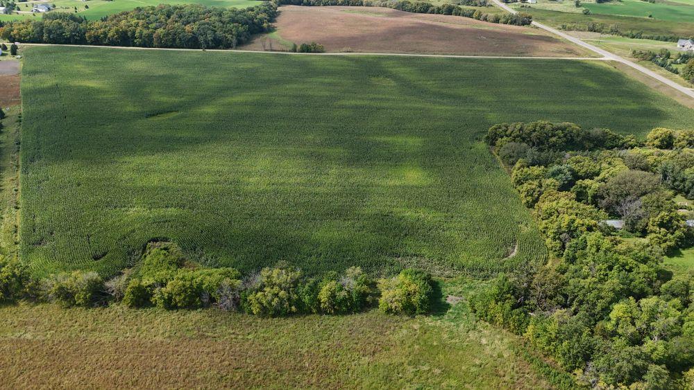 dji_fly_20250909_130416_0038_1757447794316_photo.jpg