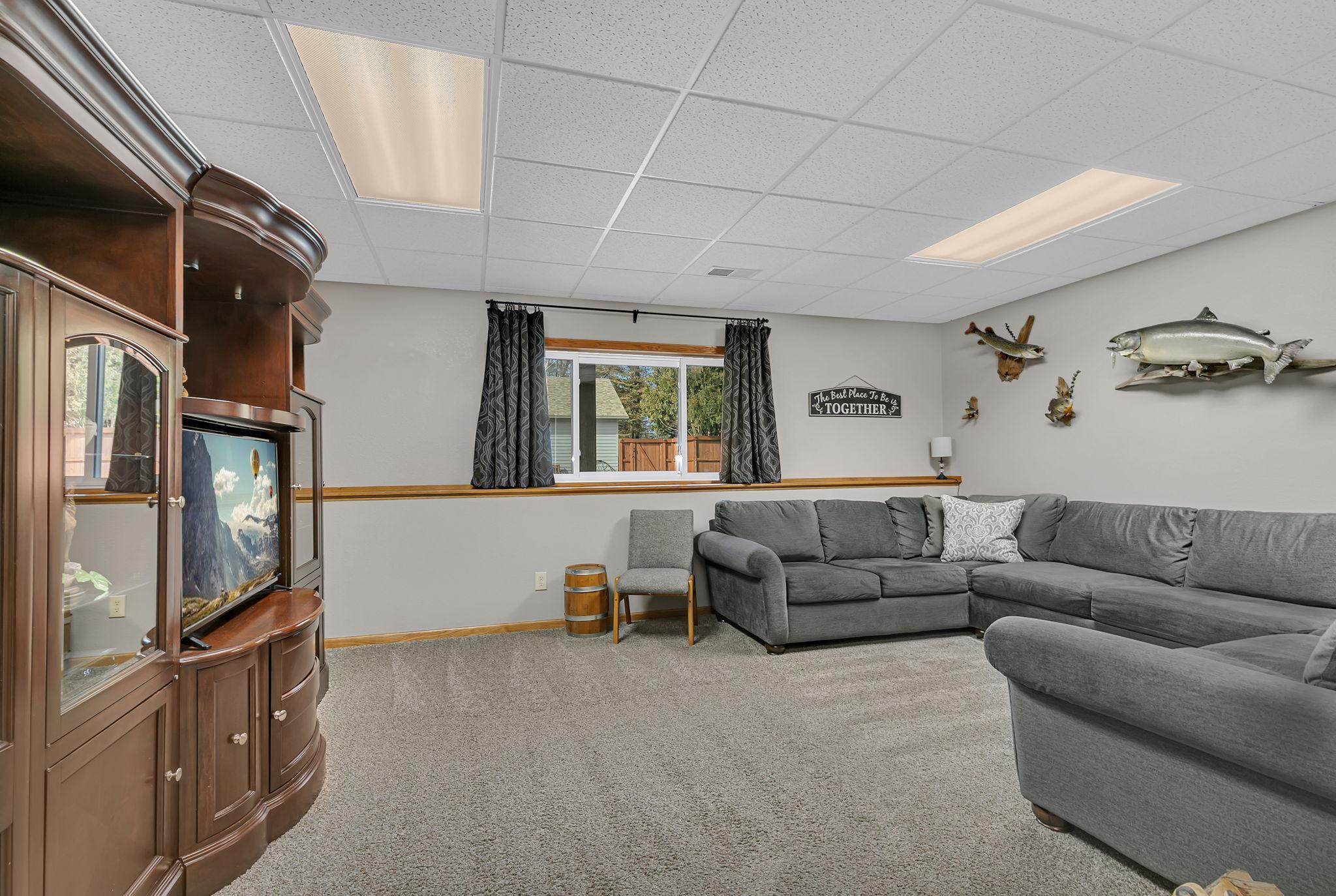 Downstairs Living Room 2