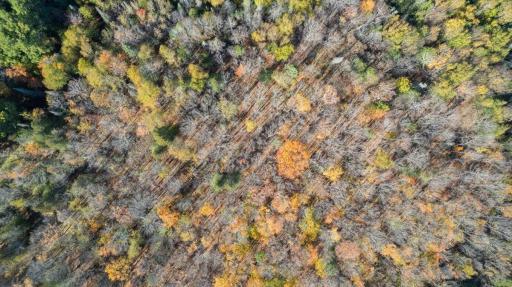 5570 Lester River Road, Duluth, MN 55804